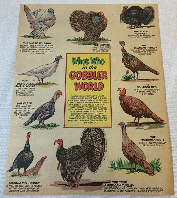 1958 cartoon page ~ WHO'S WHO IN THE GOBBLER WORLD Turkeys