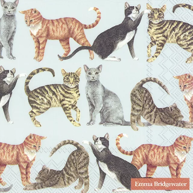 3 Paper Napkins For Decoupage Scrapbooking Craft Luncheon Serviettes Cats