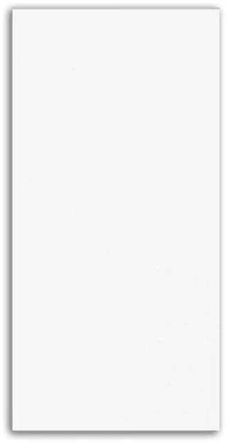 Iceberg White 12x24 Polished Ceramic Wall Tile Rectified (CUT PIECE SAMPLE)