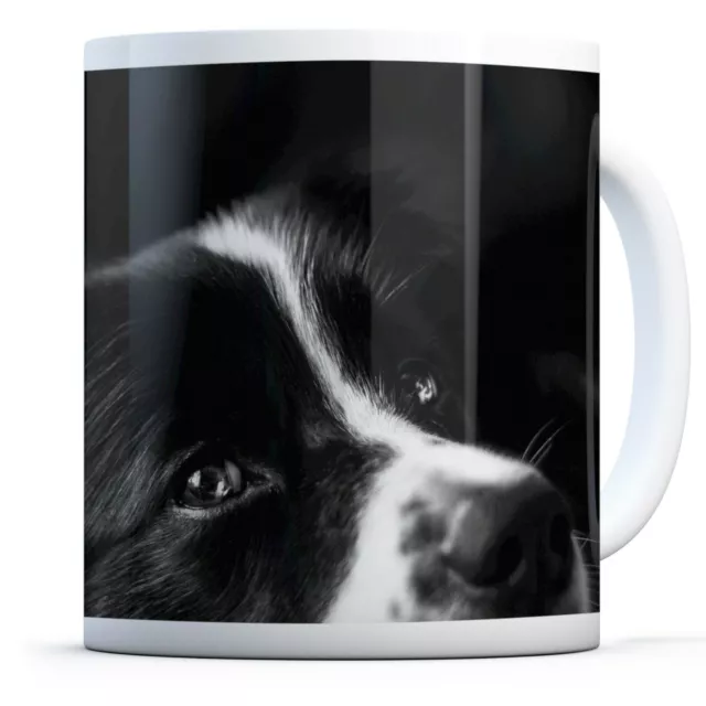 Border Collie Sheep Dog - Drinks Mug Cup Kitchen Birthday Office Fun Gift #8639