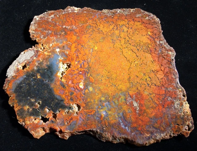 OCL -  ALPINE, TEXAS WOODWARD RANCH RED PLUME AGATE POLISHED SLAB - .38 lbs.