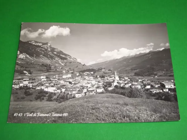 Cartolina Val di Fiemme - Tesero ( Trento ) - Panorama 1964