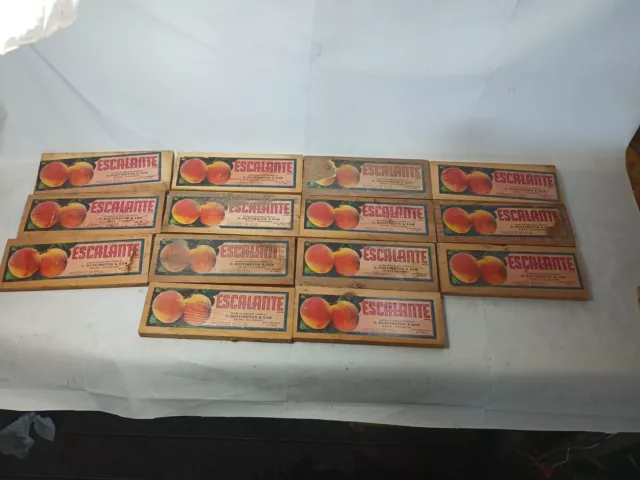 Lot Of 14vOriginal Vintage  Fruit Crate/Box End  Label Colorado Peaches G94