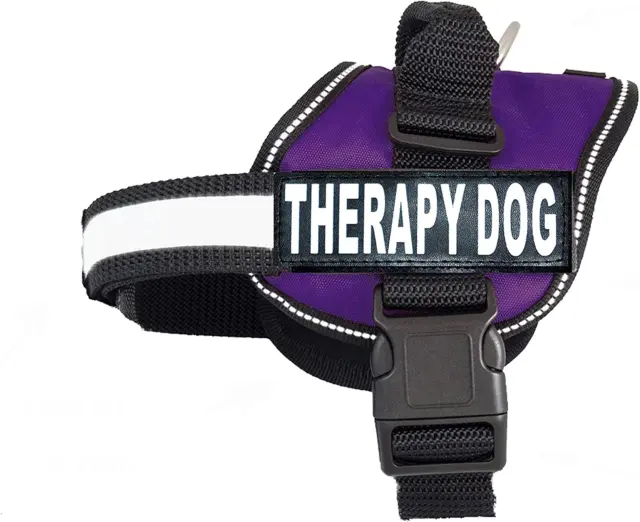 Therapy Dog Harness Service Working Vest Jacket Removable Patches,Purchase Comes