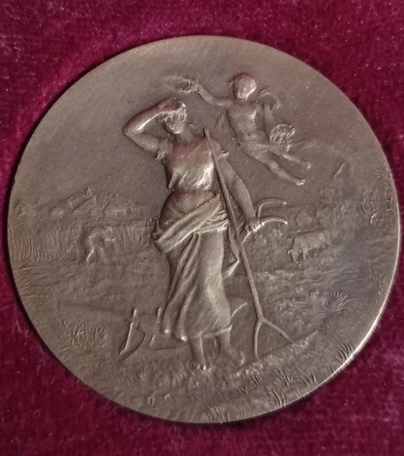 Médaille de table - Comice agricole canton Cassel Nord par Naudé d=41,5mm