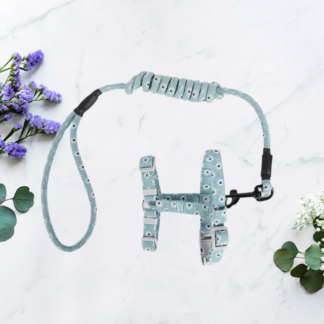 Accessori per animali domestici stoviglie per gattini stoviglie per gatti accoglienti