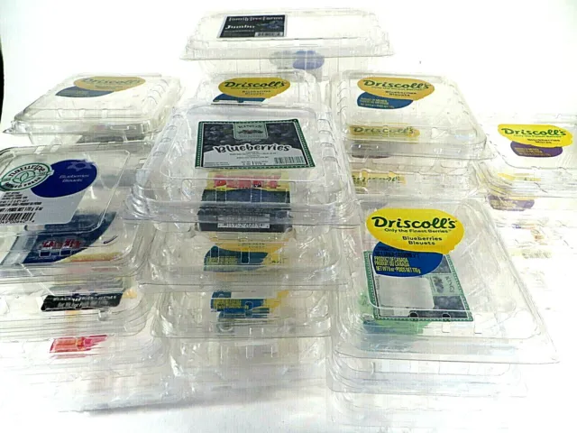 Lot of 30 Clear Square Vented Clamshell Produce Berry Containers Clean