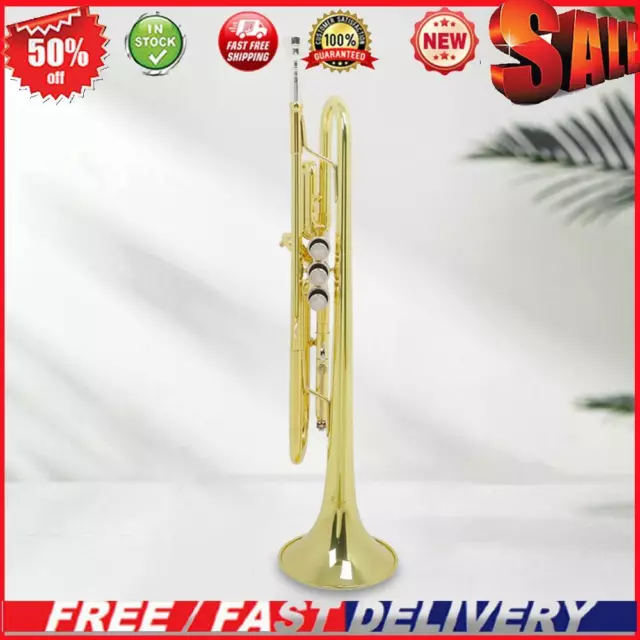 Professional Trumpet Funny Bb B Flat Trumpet Musical Instrument for Kids Adults