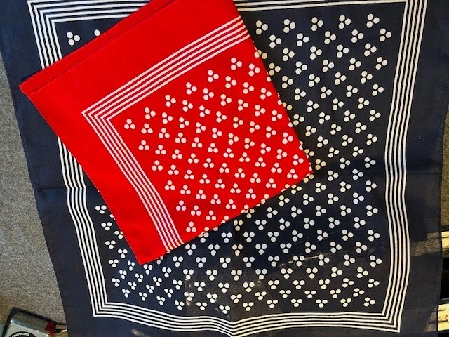 2 x cravatta a pois grande fazzoletto a pois cane/uomo bandana blu e rosso