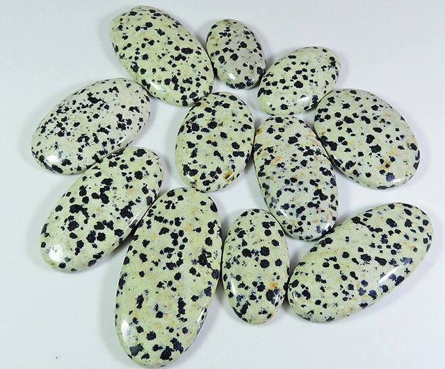 405Cts. Natural Dalmantion Oval Cabochon Loose 11Pcs Lot k456