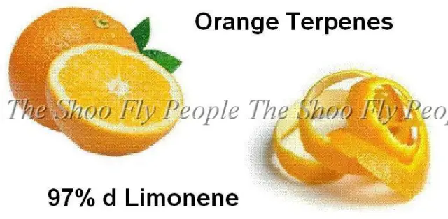 Terpènes orange 97+ % D-limonène 2