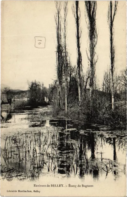 CPA Env. de BELLEY Etang de Bognens (1351527)