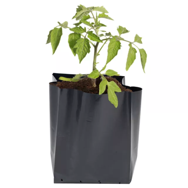 Poly Plant Pots Grow Bag Container Hadopots Polythene Reusable Recycled PolyPots 3