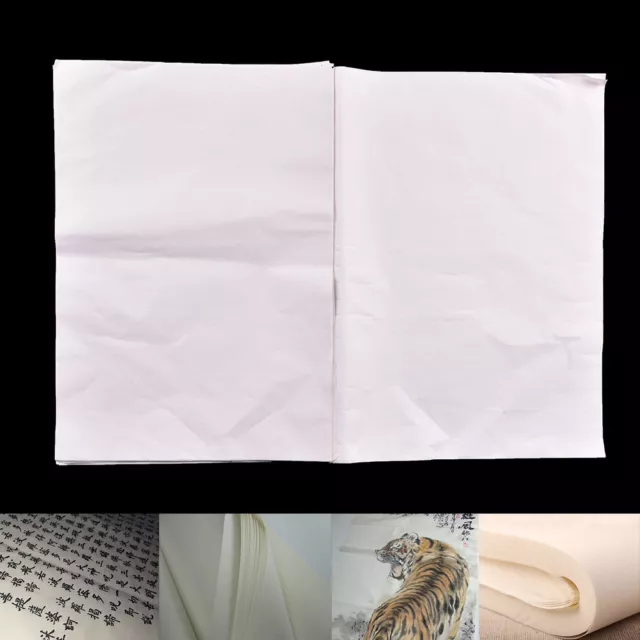 30 Stück weißes Xuan-Papier, Reispapier für chinesische Malerei 2