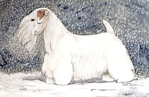Sealyham Terrier Limited Edition Giclee Art Print