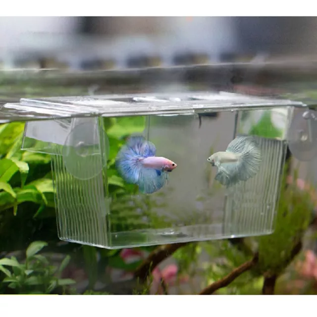 Transparent Fish Tank Breeding Isolation Box Aquarium Incubator Hatching Boxes