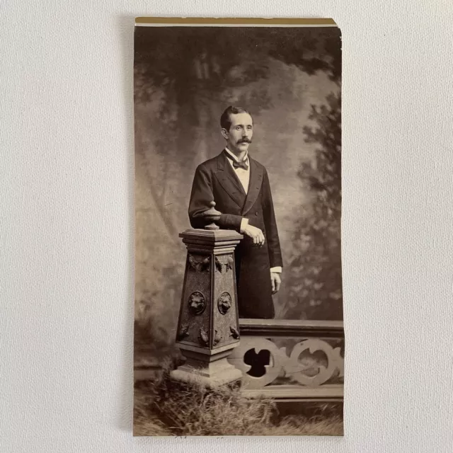 Antique Cabinet Card Photograph Handsome Man Mustache Great Hair Lion Pillar