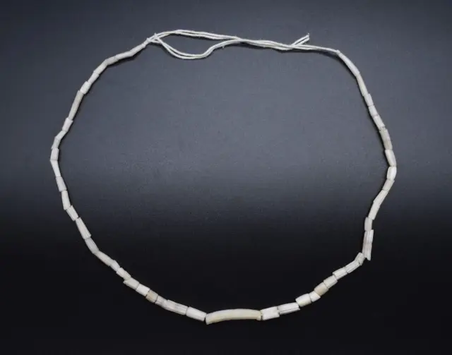 Ancient Romano-Egyptian stone and shell bead necklace C. 1st century AD