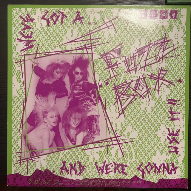 FUZZBOX Rules And Regulations EP Etched Vinyl 12” Single EX condition