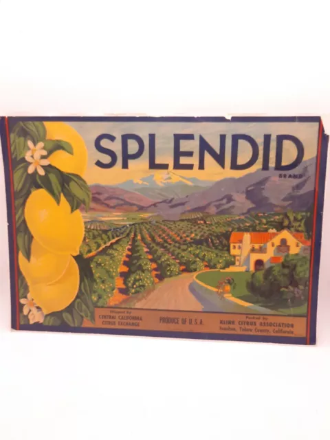 Vintage Advertising Fruit Crate Label Splendid Brand Citrus  Ivanhoe California