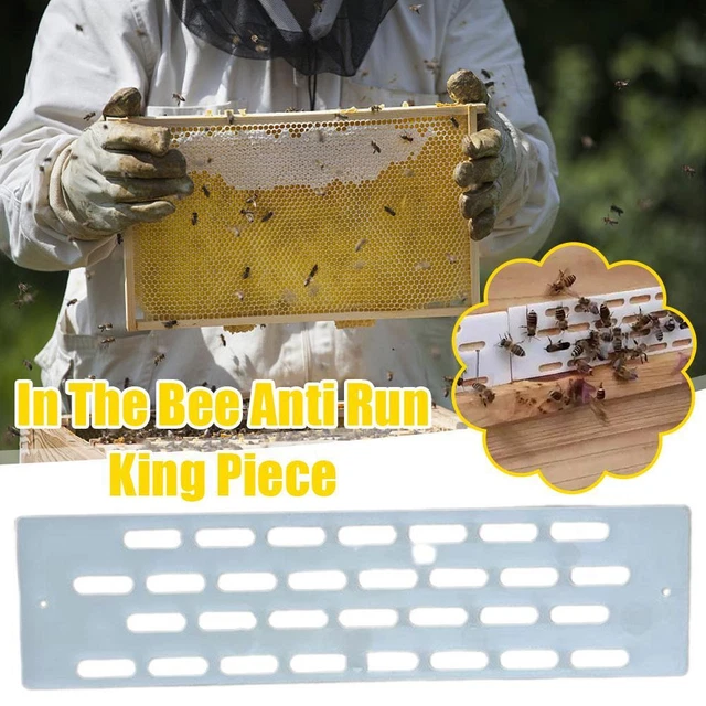 20X Beekeeping Tool Anti Escape Bees Queen Plastic Hive Equipment Spacer G5R0