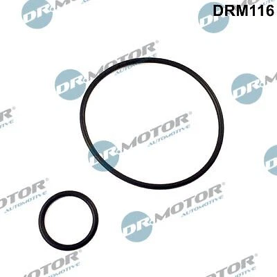 Guarnizione Collettore Aspirazione Per Veicolo Online Compra