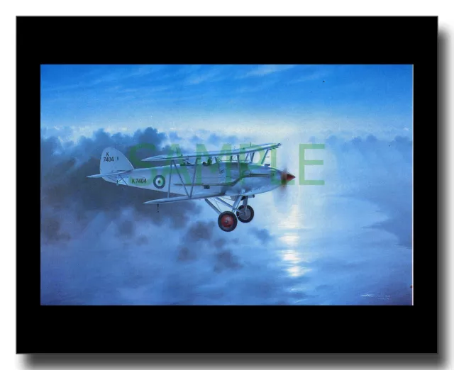 Hawker Audax RAF trainer biplane framed picture Charles Thompson