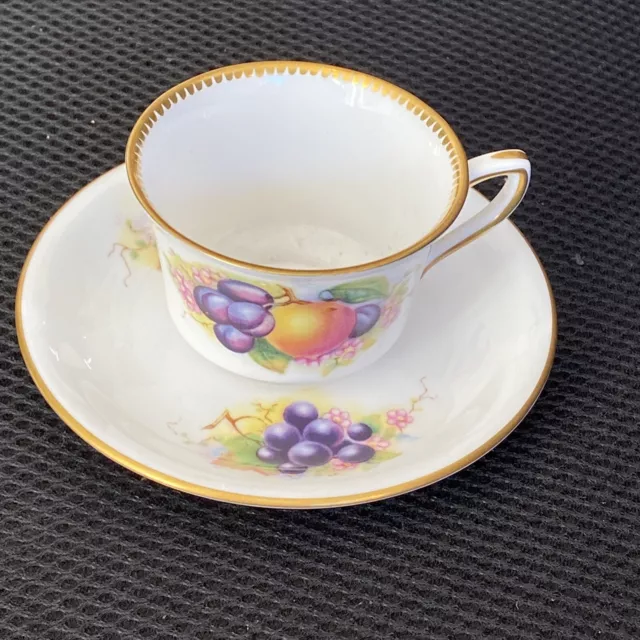 Royal Worcester Fruit - Connoisseur Collection cup & saucer - Richard Sebright
