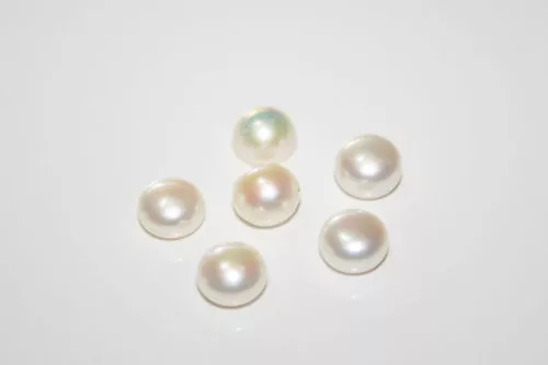 Six large ivory white freshwater button pearls