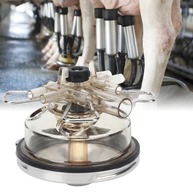 Milk Collector 350cc Milking Machine Accessories Milking Claw Safe And
