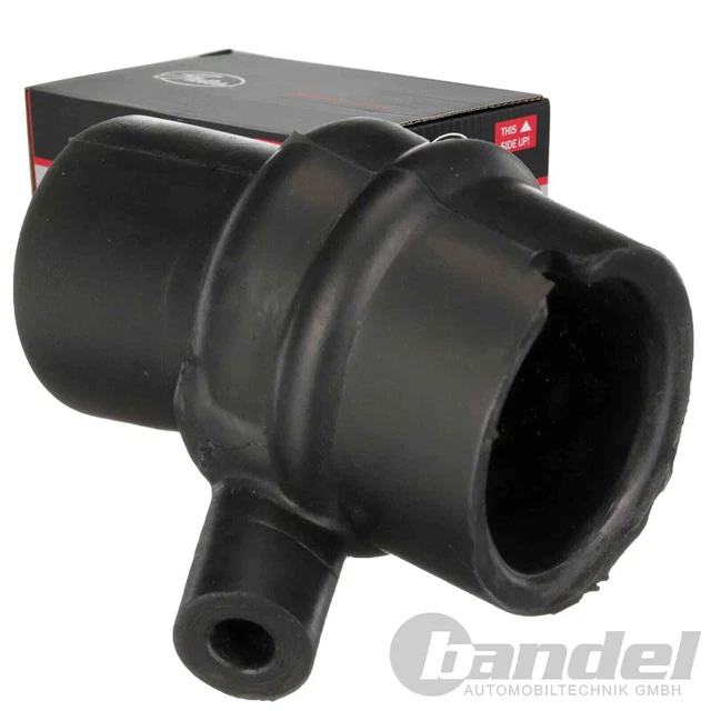 BQTQ 5 Canottiere Donna Scollo Quadrato - Viscosa/Spandex, Senza Maniche, Taglie S-XXL, Nero - Foto 11