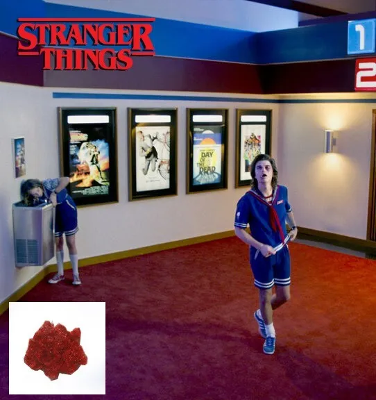 Authentic Starcourt Mall Carpet Piece From Stranger Things S3