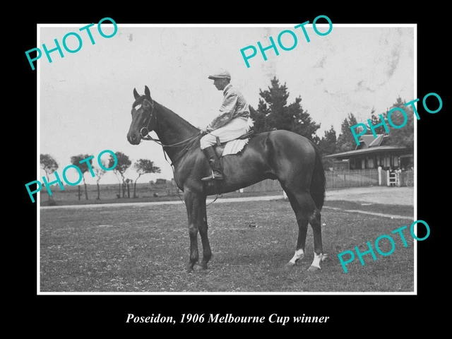 Old Large Horse Racing Photo Of Poseidon 1906 Melbourne Cup Winner