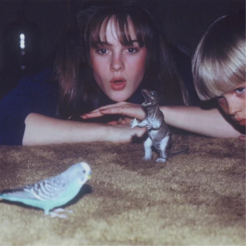 Big Thief Masterpiece (CD) Album (US IMPORT)