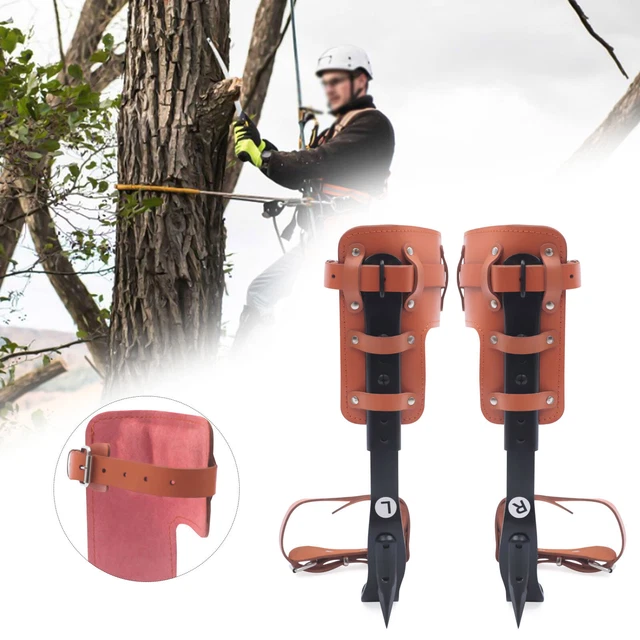 Tree Pole Climbing Spike Set Fruit Picking Spur Adjustable Leg Ankle Strap 100kg