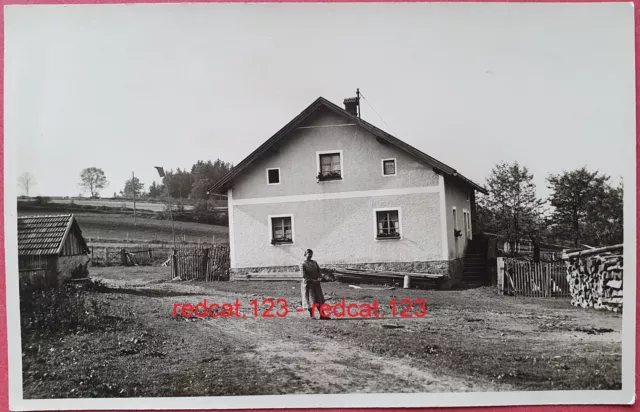 AK Wohnhaus in Lichteneck bei Grafenau / Freyung-Grafenau Bayern 1914 Foto PK