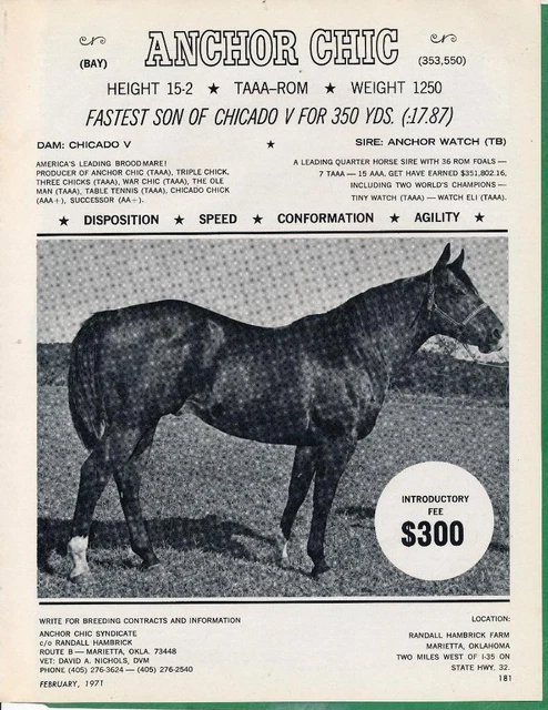 Magazine Ad - 1971 - R. Hambrick Horse Farm, Marietta, OK - ANCHOR CHIC