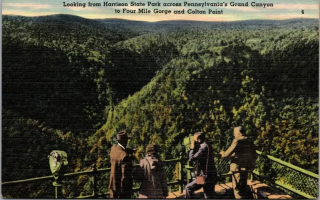 Wellsboro, Pa.~Leonard Harrison State Park~Grand Canyon~Lookout~Linen Postcard
