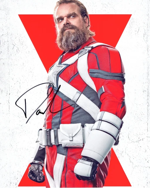 A fantastic 10x8 Autographed Photo of David Harbour & CoA