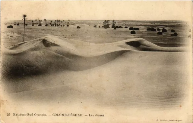 CPA AK Geiser 29 COLOMB-BÉCHAR Les dunes ALGERIA (789583)