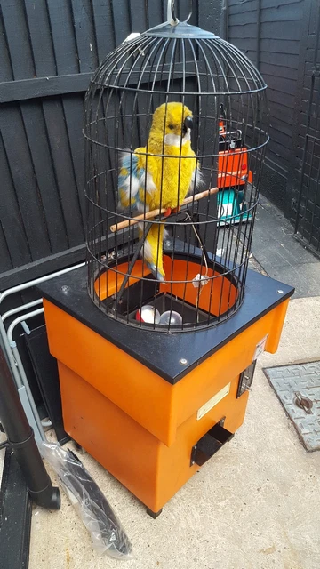 Parrot Coin Machine COIN OPERATED PARROT prize every time capsule vending arcade machine ...