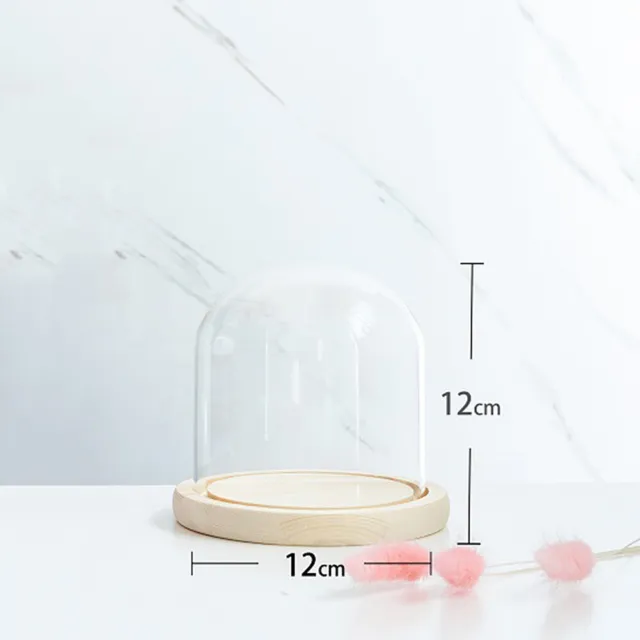 Glass Display Dome Bell Jar Cloche Wooden Base Figure Action Gift Table Decor