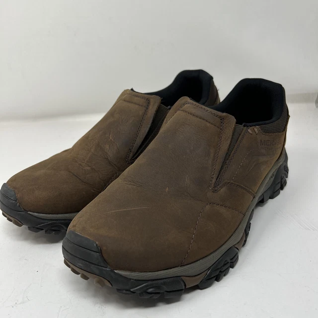 merrell moab dark earth