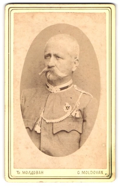 Fotografie Georg Moldovan, Mitrovitz, Portrait Offizier in Uniform mit Orden &