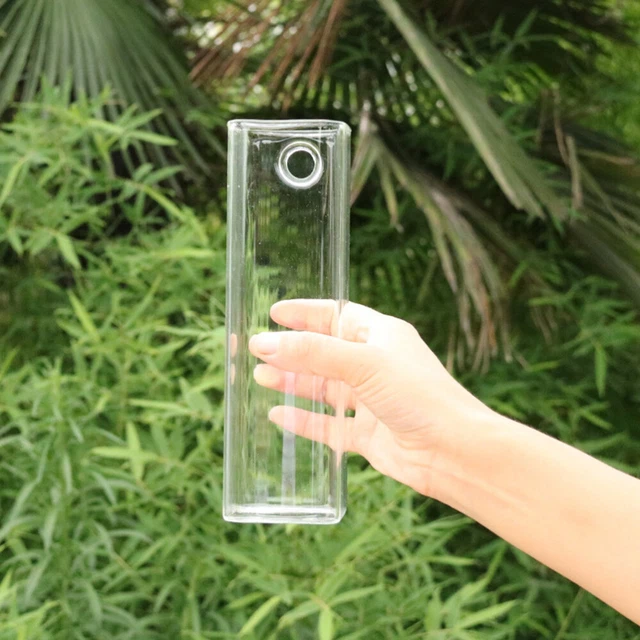 Vaso di vetro grigio trasparente Vaso per piante idroponiche