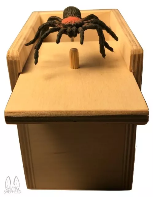 Mouse & Spider Surprise Box - 2 Practical Joke Fun Scare Prank Gag Gifts  USA 2