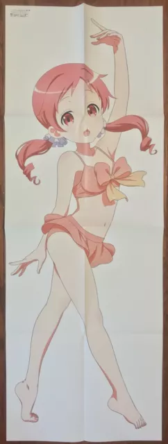 Double Sided Anime Swimsuit Poster: Is the Order a Rabbit Cocoa Strike the  Blood