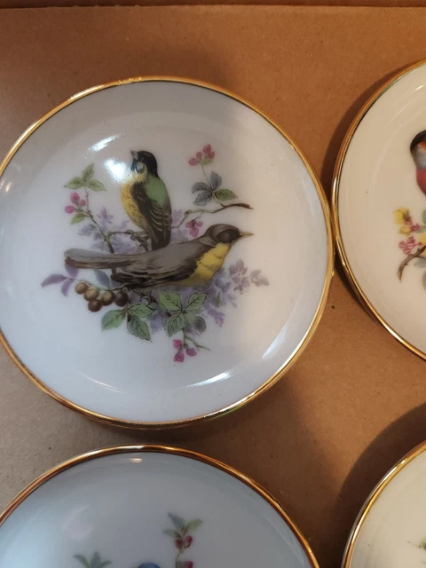 Vintage Bareuther Waldsassen Bavaria Germany - Set Of 6 Bird Plates Coasters 3.5 3