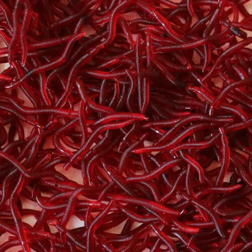 100 Pcs Soft Red Earthworm Fishing Bait Worm Lures Crankbaits Hooks Tackle Baits