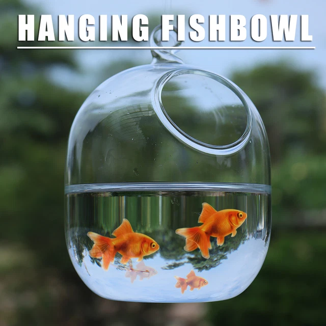 Hanging Transparent Glass Vases Fishbowl Fish Tanks Handmade Aquarium E US0